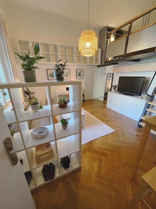 Stefanka Apartment Old Town Μπρατισλάβα Εξωτερικό φωτογραφία
